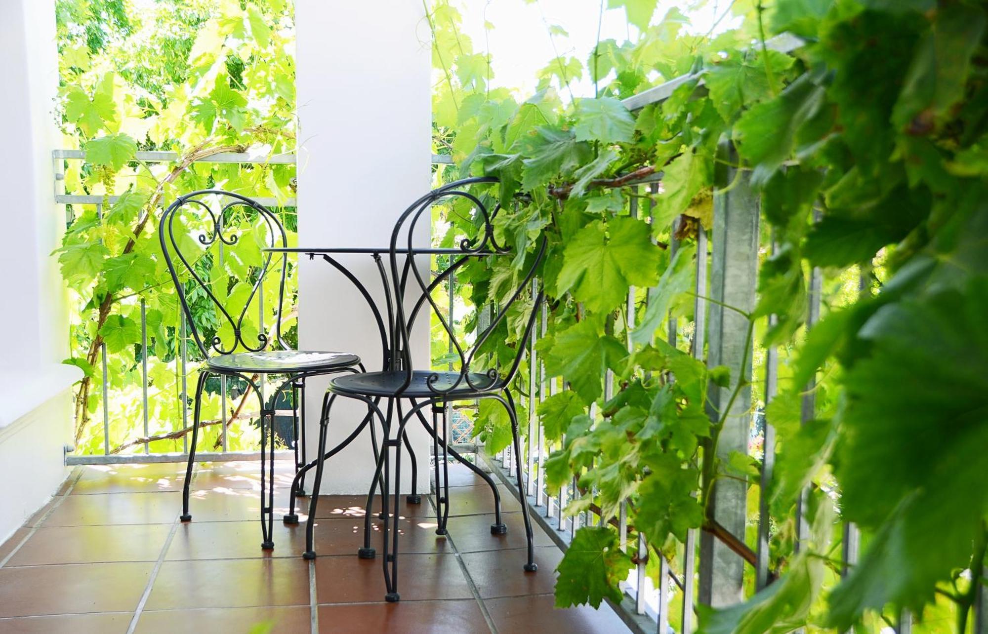 Penelope'S Stellenbosch Bed & Breakfast Екстериор снимка