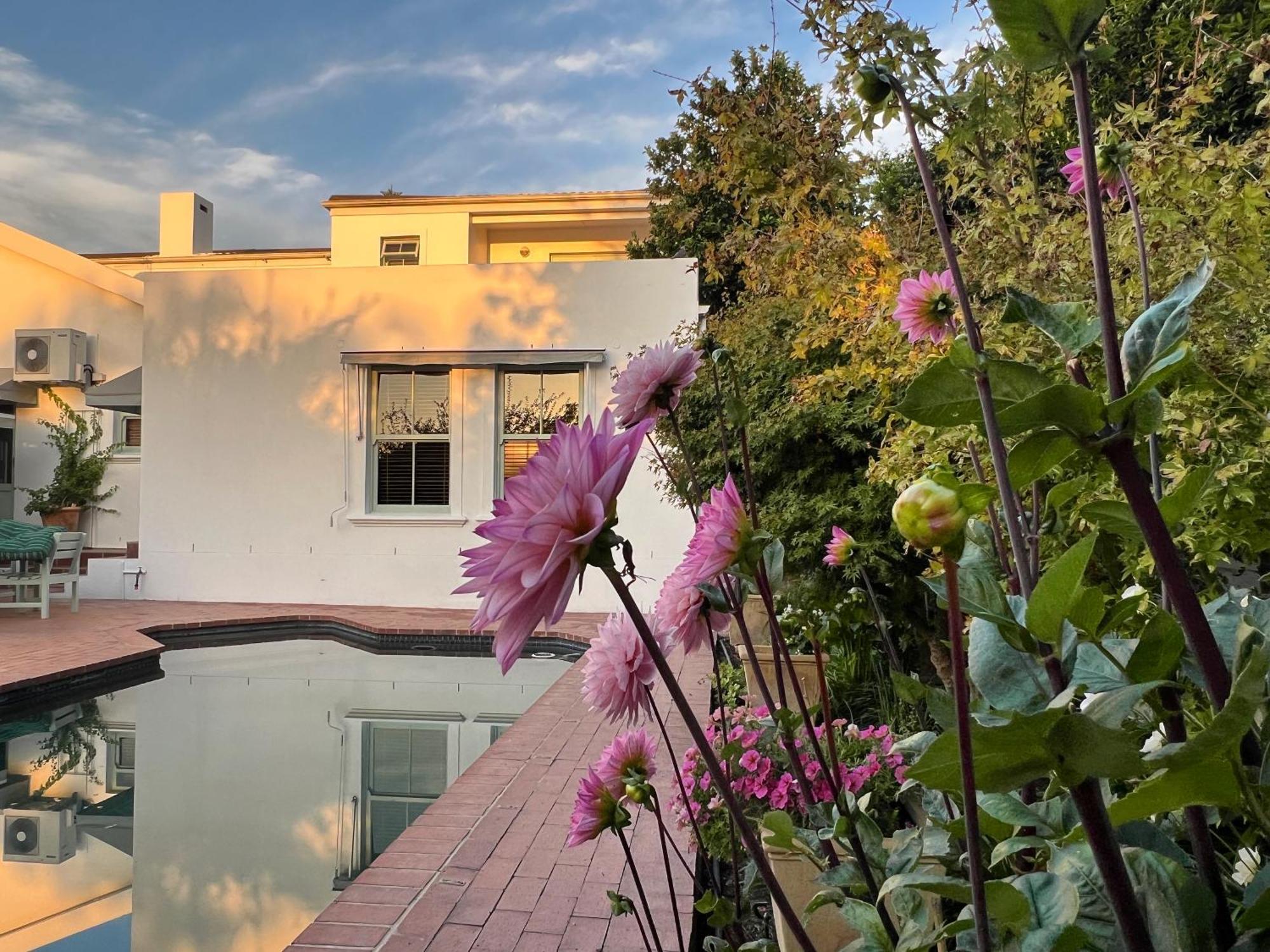 Penelope'S Stellenbosch Bed & Breakfast Екстериор снимка