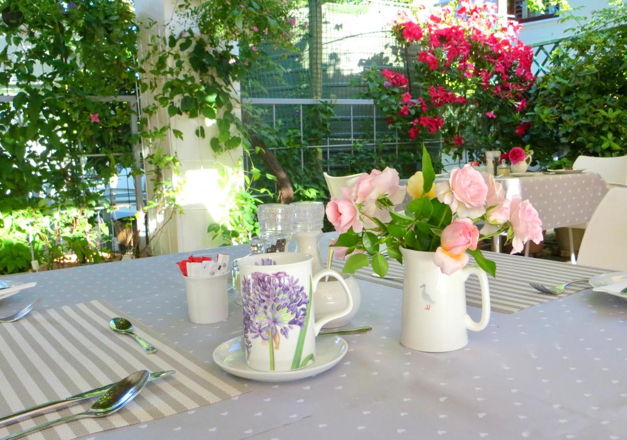 Penelope'S Stellenbosch Bed & Breakfast Екстериор снимка